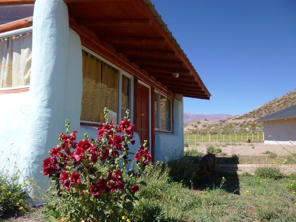 Valle Del Cielo Uspallata Szoba fotó
